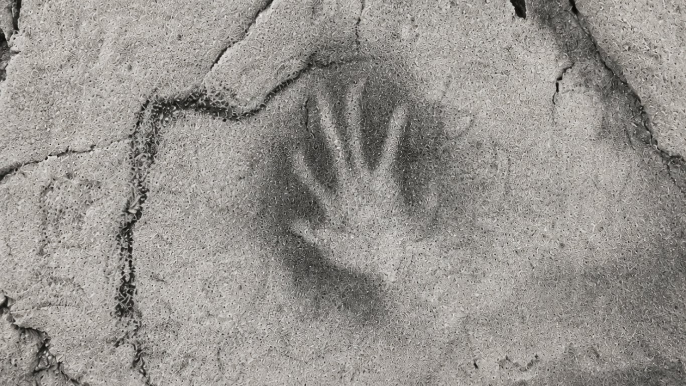 The Human Revolution: How We Learned to Imagine